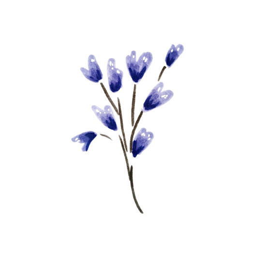 Purple small flowers by doodlesflowers