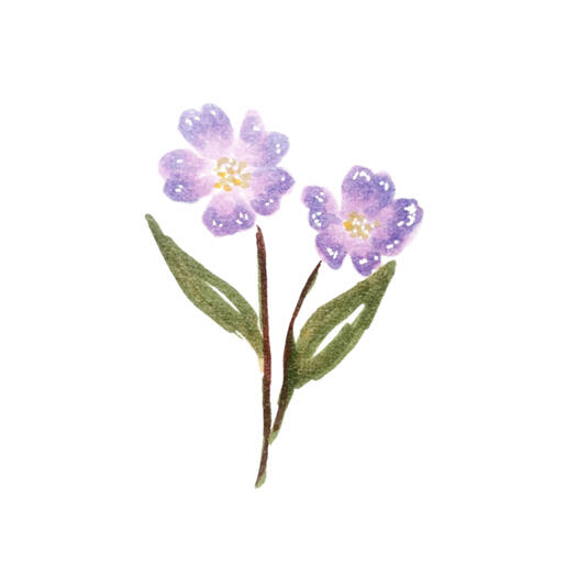 Purple flowers by doodlesflowers